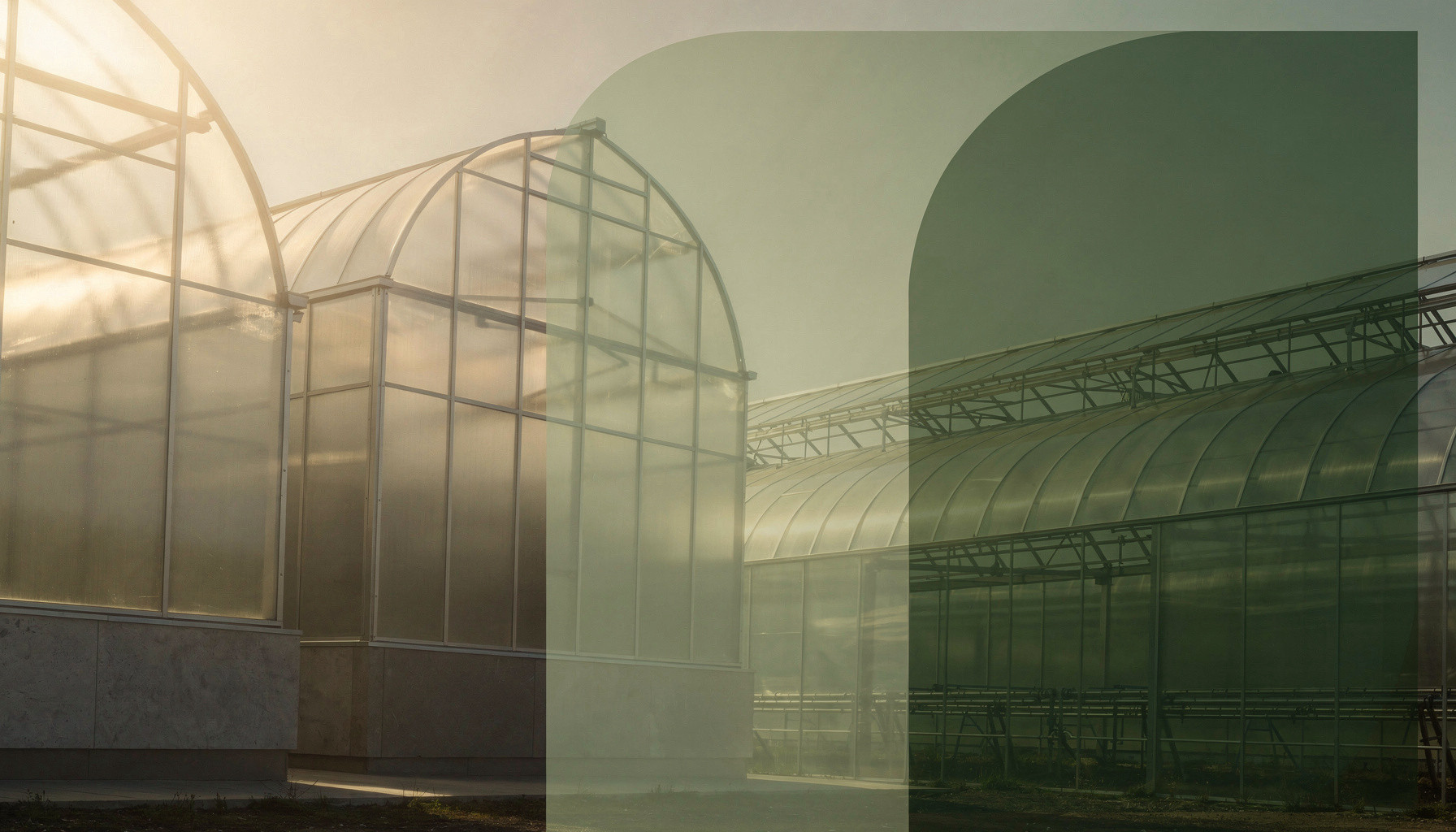 Coastal Growers Supply, Inc. website preview